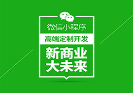 微信小程序使用价格研究报告